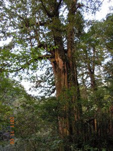 DSCN0201.JPG