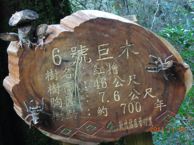 DSCN0203.JPG