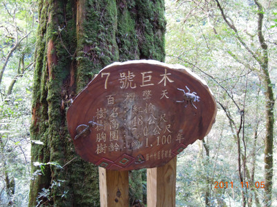 DSCN0206.JPG