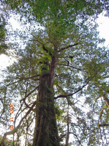 DSCN0210.JPG