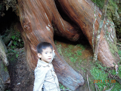 DSCN0215.JPG