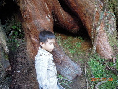 DSCN0216.JPG