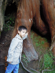 DSCN0217.JPG