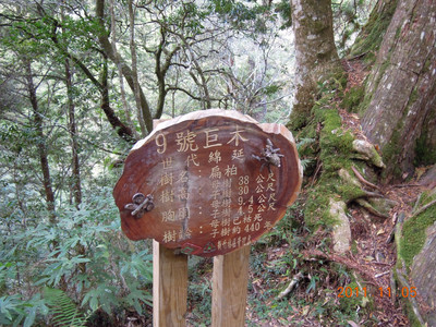 DSCN0218.JPG