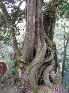 DSCN0219.JPG