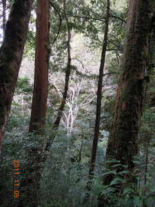 DSCN0224.JPG