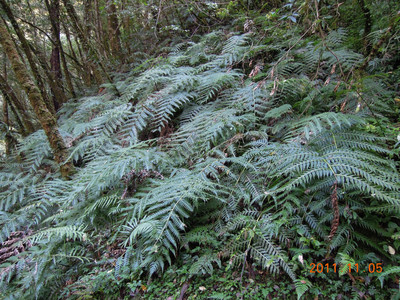 DSCN0226.JPG
