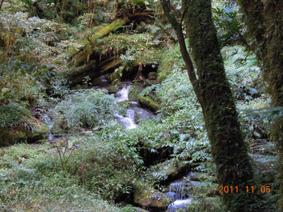 DSCN0227.JPG