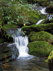 DSCN0236.JPG