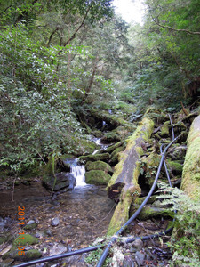 DSCN0238.JPG