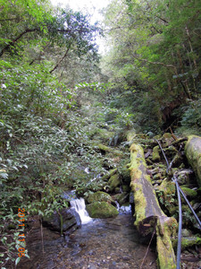 DSCN0239.JPG