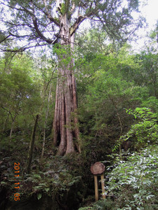 DSCN0243.JPG