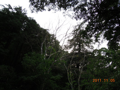 DSCN0244.JPG