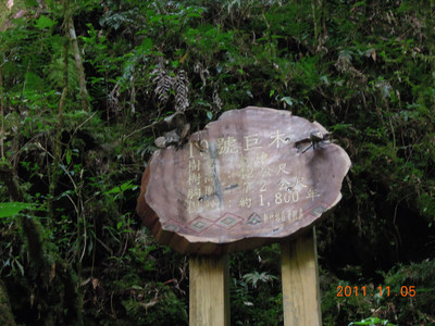 DSCN0245.JPG
