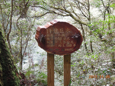 DSCN0246.JPG