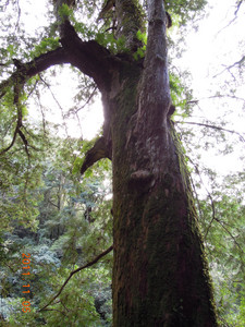 DSCN0247.JPG