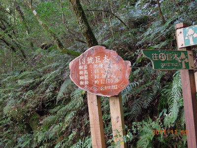 DSCN0249.JPG
