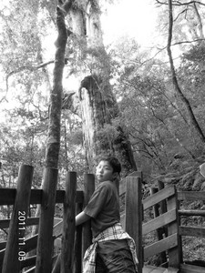 DSCN0252.JPG