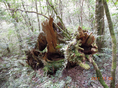 DSCN0259.JPG