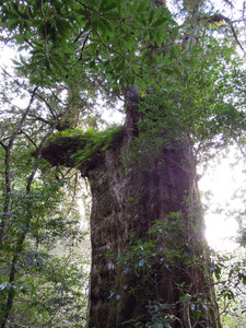 DSCN0262.JPG