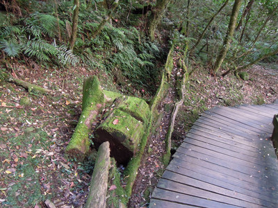 DSCN0264.JPG