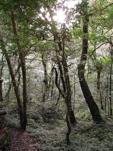 DSCN0279.JPG