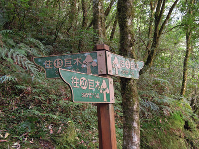 DSCN0284.JPG