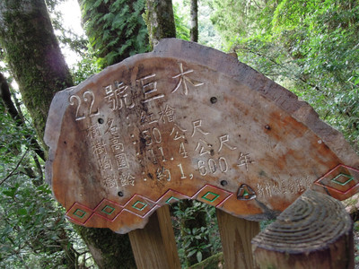 DSCN0287.JPG