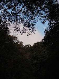 DSCN0308.JPG