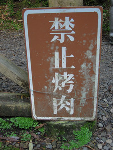 DSCN0309.JPG