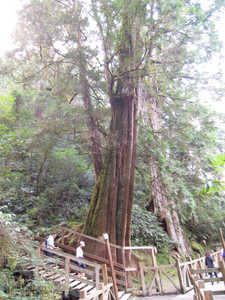 DSCN0310.JPG