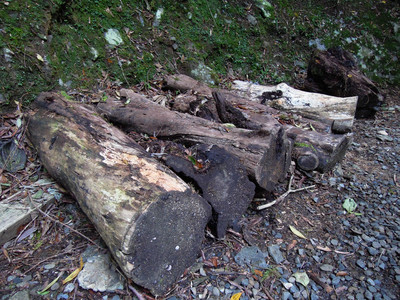 DSCN0314.JPG