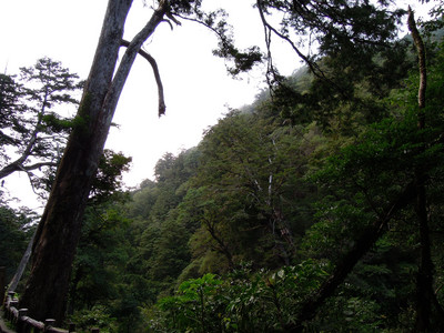 DSCN0316.JPG
