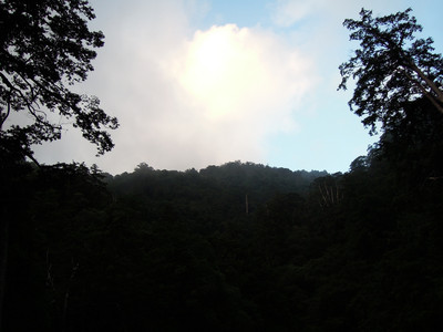DSCN0317.JPG