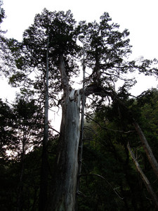 DSCN0318.JPG