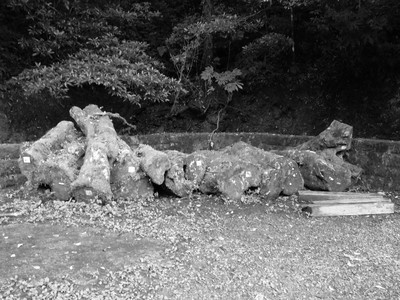 DSCN0326.JPG