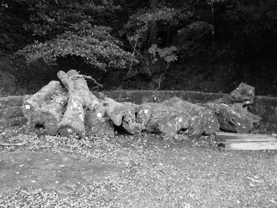 DSCN0327.JPG