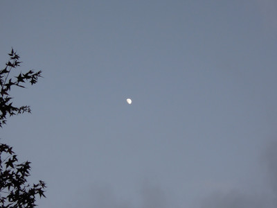 DSCN0328.JPG