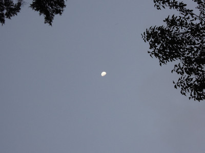 DSCN0330.JPG