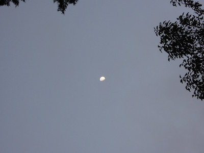 DSCN0331.JPG