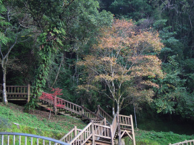DSCN0337.JPG