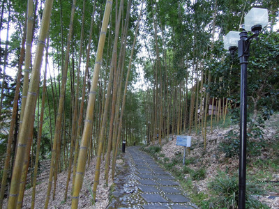 DSCN0357.JPG