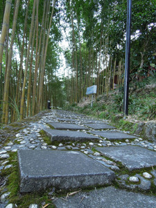 DSCN0358.JPG