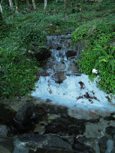 DSCN0359.JPG