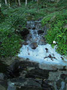 DSCN0360.JPG