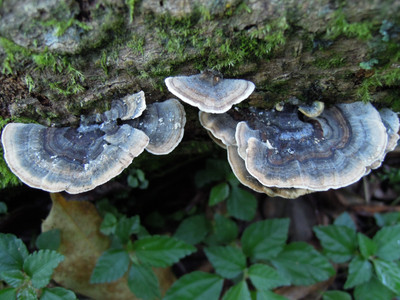 DSCN0363.JPG