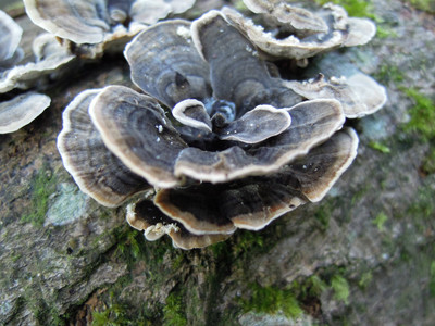 DSCN0364.JPG