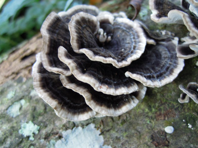 DSCN0366.JPG