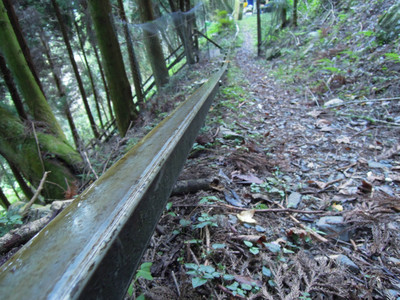 DSCN0371.JPG