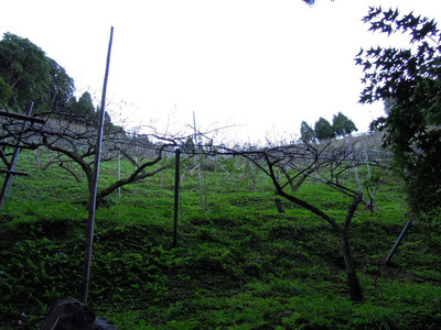 DSCN0373.JPG